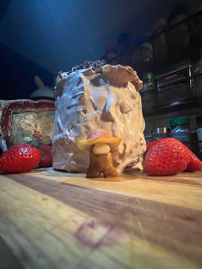 dia__art's tweet photo. The Fungus Among Us cake is sister approved :) https://t.co/RoI6DQqIc6