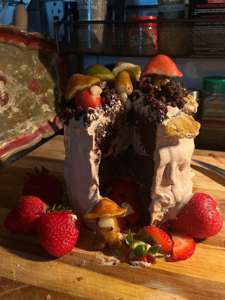 dia__art's tweet photo. The Fungus Among Us cake is sister approved :) https://t.co/RoI6DQqIc6
