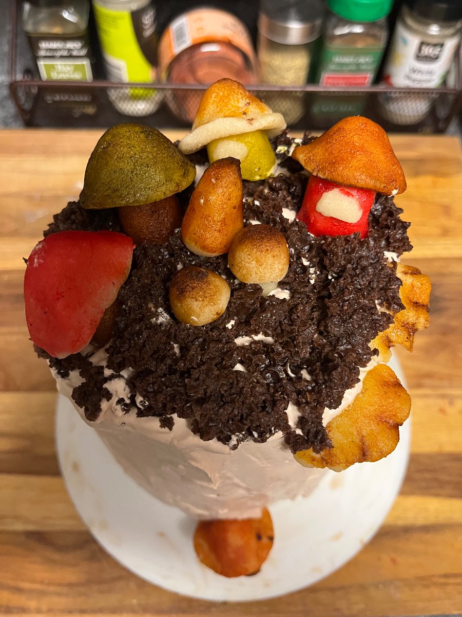 dia__art's tweet photo. The Fungus Among Us cake is sister approved :) https://t.co/RoI6DQqIc6