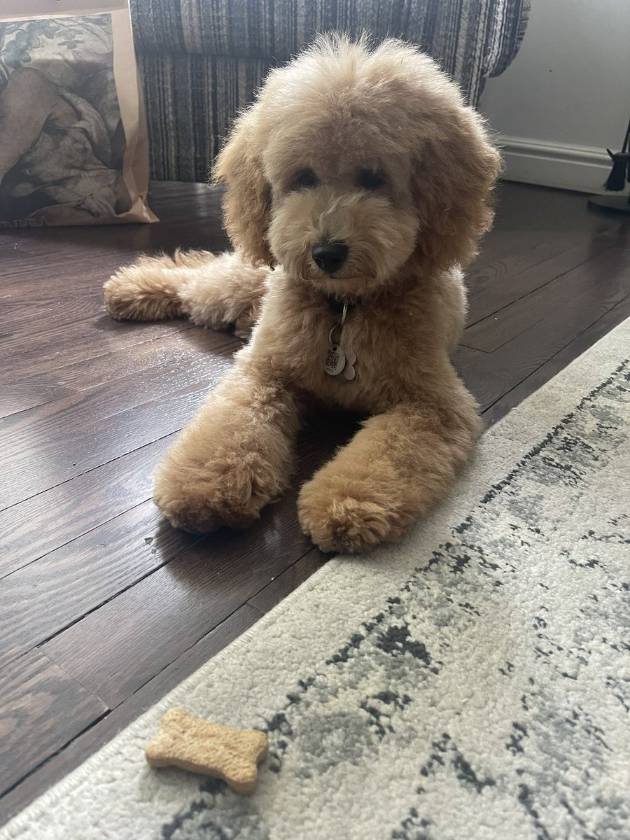 Thyya's tweet photo. @CBC My name is Nori! https://t.co/g0uUOQjPrc