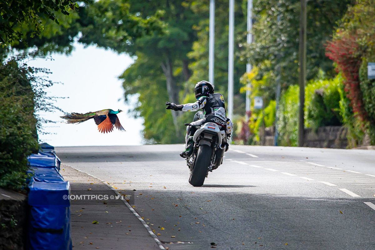 iomTTpics tweet media