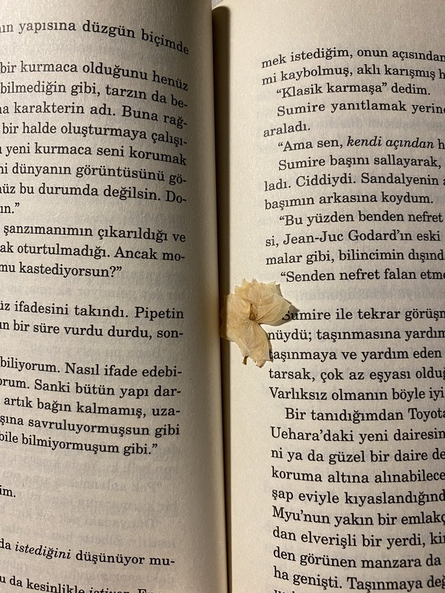 senakarli's tweet photo. bayılıyorum böyle minik sürprizlere https://t.co/XyS869qqal