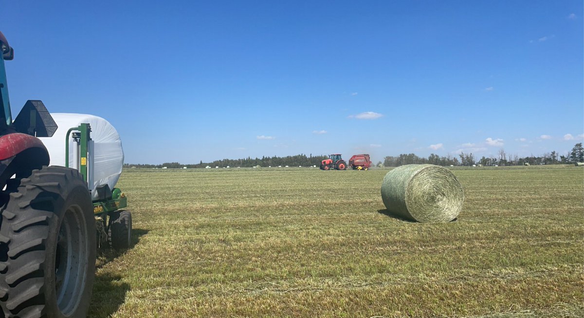 LuymesPeter's tweet photo. Nice to get so quality second cut being able to wrap them will make next week easier when we hope to combine barley! https://t.co/o74Rx2AVS1