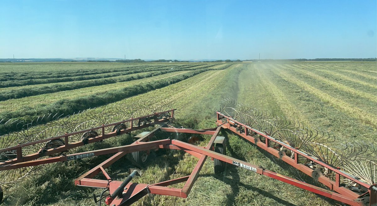 LuymesPeter's tweet photo. Nice to get so quality second cut being able to wrap them will make next week easier when we hope to combine barley! https://t.co/o74Rx2AVS1