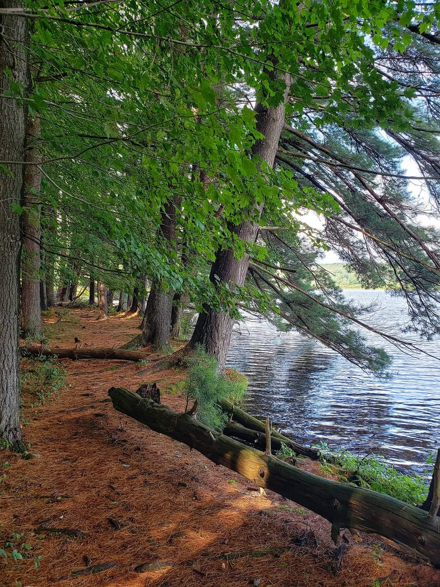 Deep Creek Lake & Garrett County, Maryland on Twitter "Looking for a