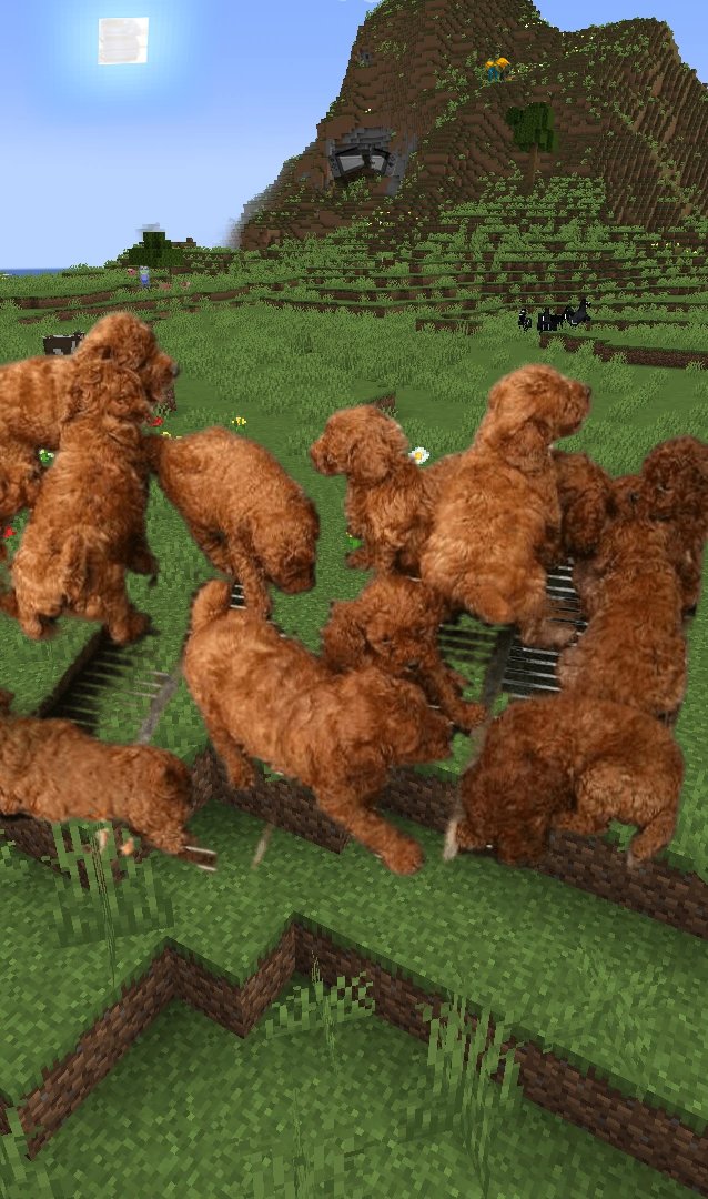 Yahiamice's tweet photo. YOOOOO LOOK WHAT THEY ADDED TO MINECRAFT #MinecraftNow #Real https://t.co/QGfPhmfMKx