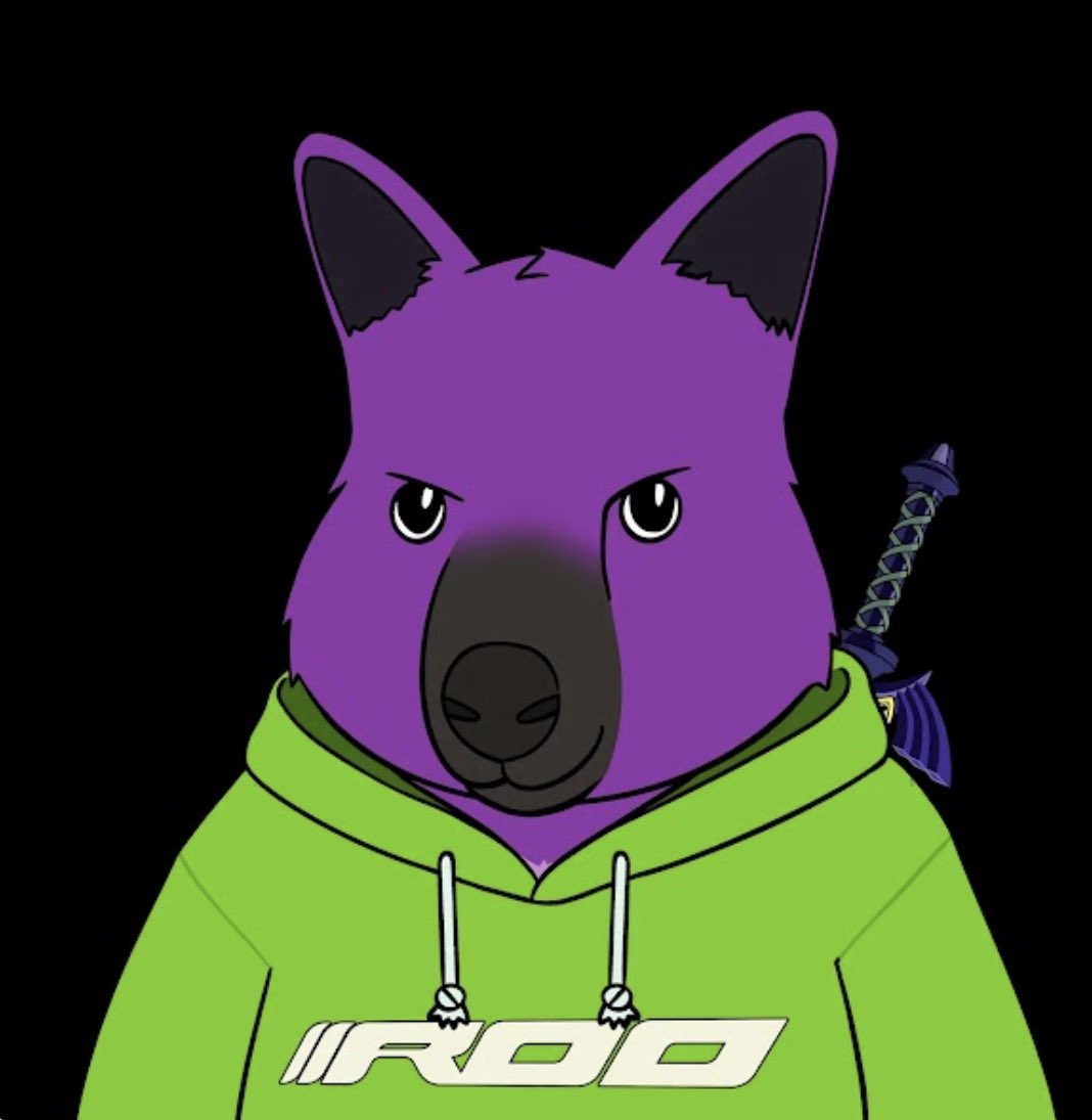 Rooty mf Roo. Web3 job market place is a billion dollar idea 💡 

Innovation✅
Leadership ✅
Long term vision ✅
Supportive community ✅

Every single thing this team has talked about doing, they have executed to this point in time. And they are less than a year in 🔥 
#NFTS