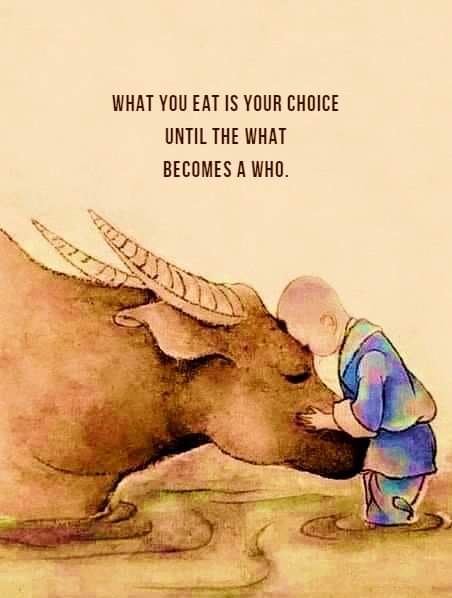 alexmigandre's tweet photo. What you eat is your choice until the what becomes a who!

Choose compassion, #govegan! #vegan https://t.co/YyCuipmbvn