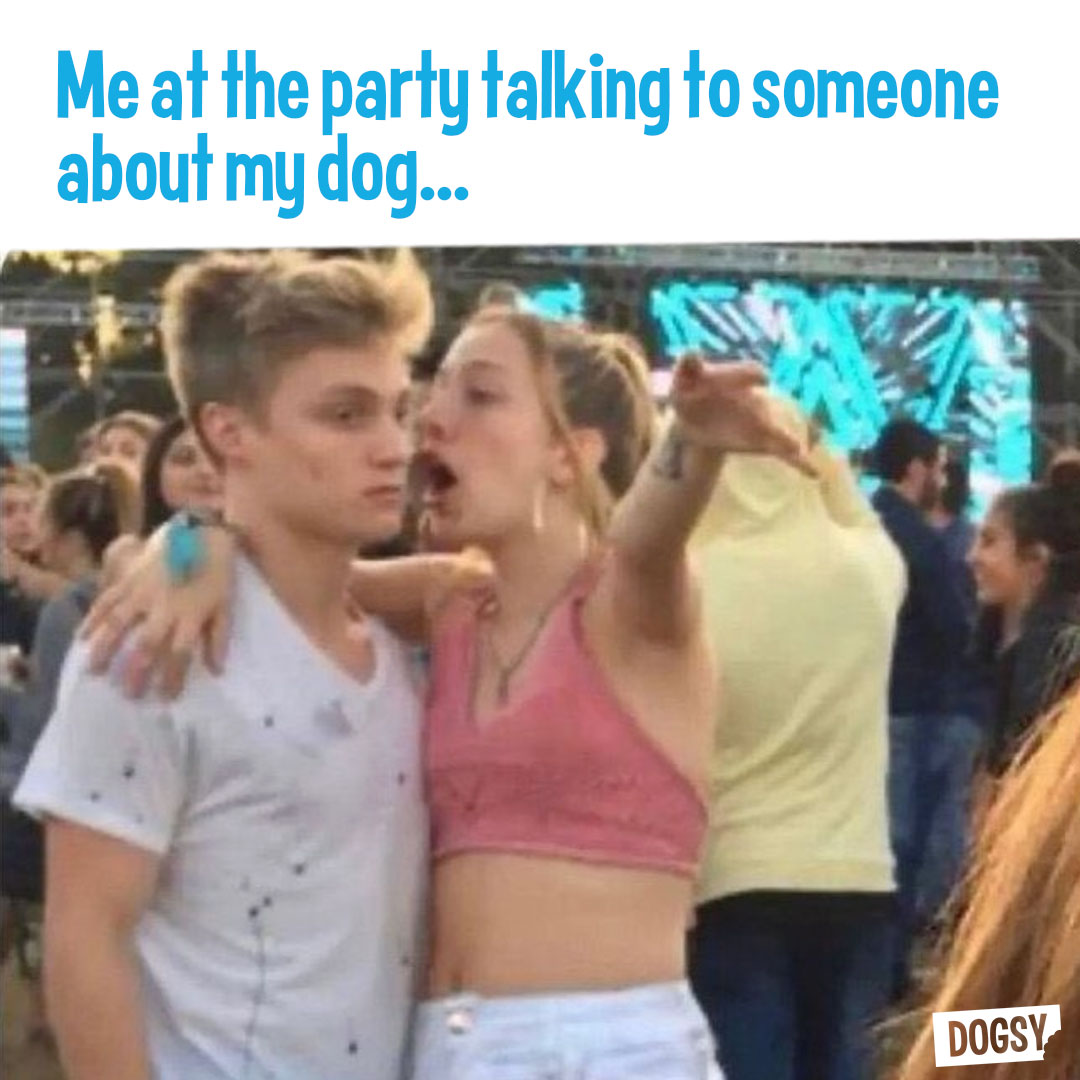 dogsyofficial's tweet photo. I love my Dog, what can I say ❤️ https://t.co/amlWsiqE0b