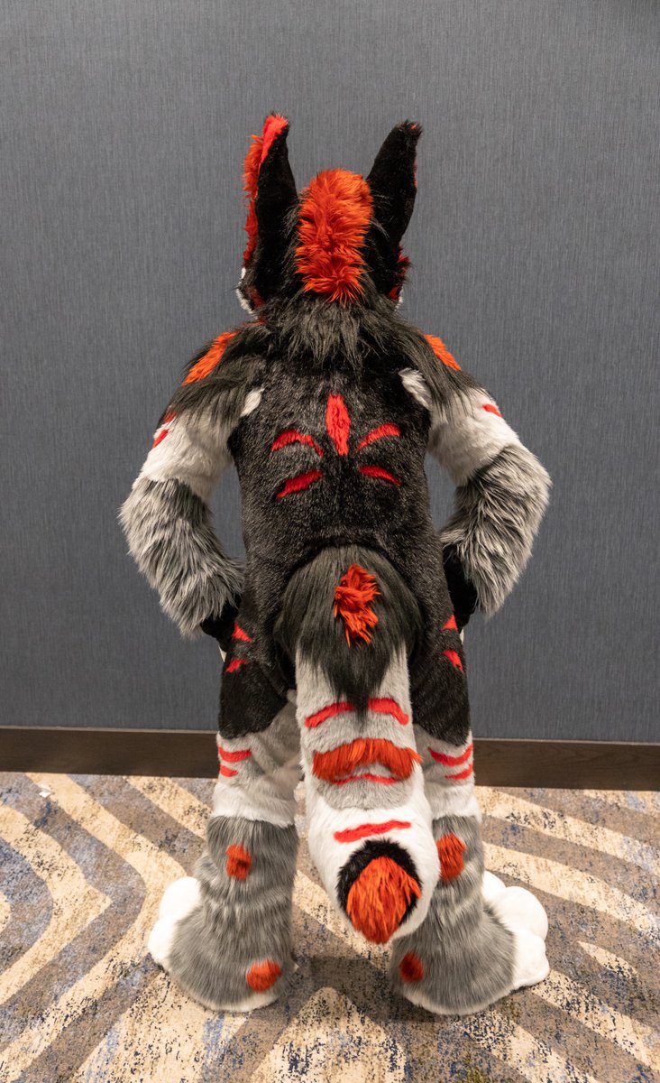WaggeryCos's tweet photo. Also more photos of @DiviTheWolf from DenFur 2022! Photos by @husky_mint https://t.co/VNj0ztTToF