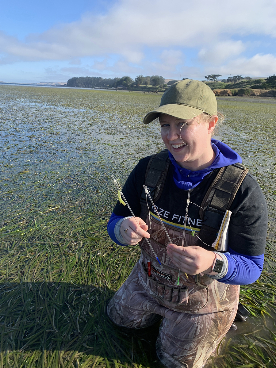 bodegamarinelab's tweet photo. Cassidy Gordon spent the summer working with mentor @clurmurph, as part of the @santarosajc-BML Internship Program, researching the predation of #amphipods and #isopods in Bodega and Tomales Bays. Read more about Cassidy's experience: https://t.co/Hu63027Bma https://t.co/9MRssHSFXE