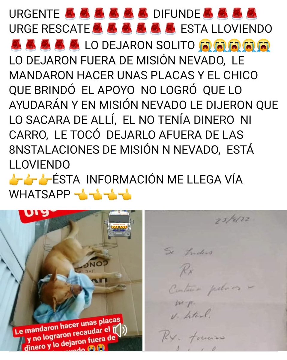 PerroUsuario's tweet photo. Por dioooossss, no se puede quedar allí. URGE #AYUDAAA RT @Reyis23: @maritesotelo  @SomosNevado  https://t.co/wrdkCdWShR