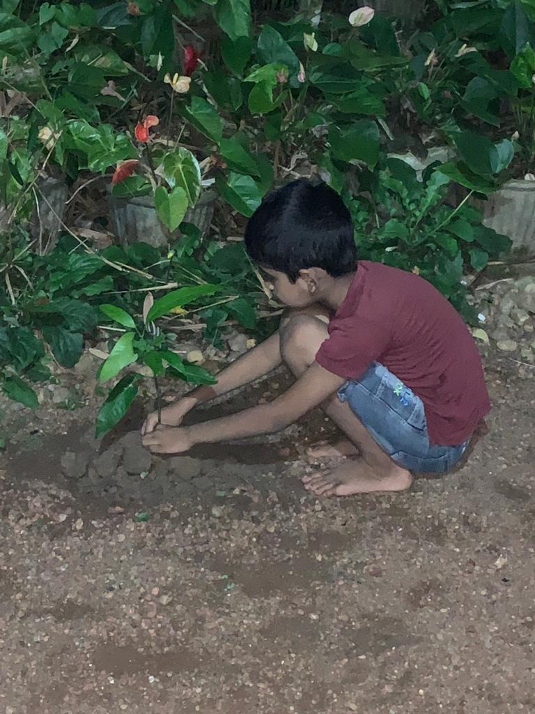 trees_half's tweet photo. Vi ønsker deg en gratulerer med dagen som er viet til verdensfred og verdens beste.
 Vi anser det som et privilegium å bringe slike hilsener til deg som alltid har viet hele livet ditt for verdens og menneskenes skyld.#Norway https://t.co/Hp5O1jmZKL