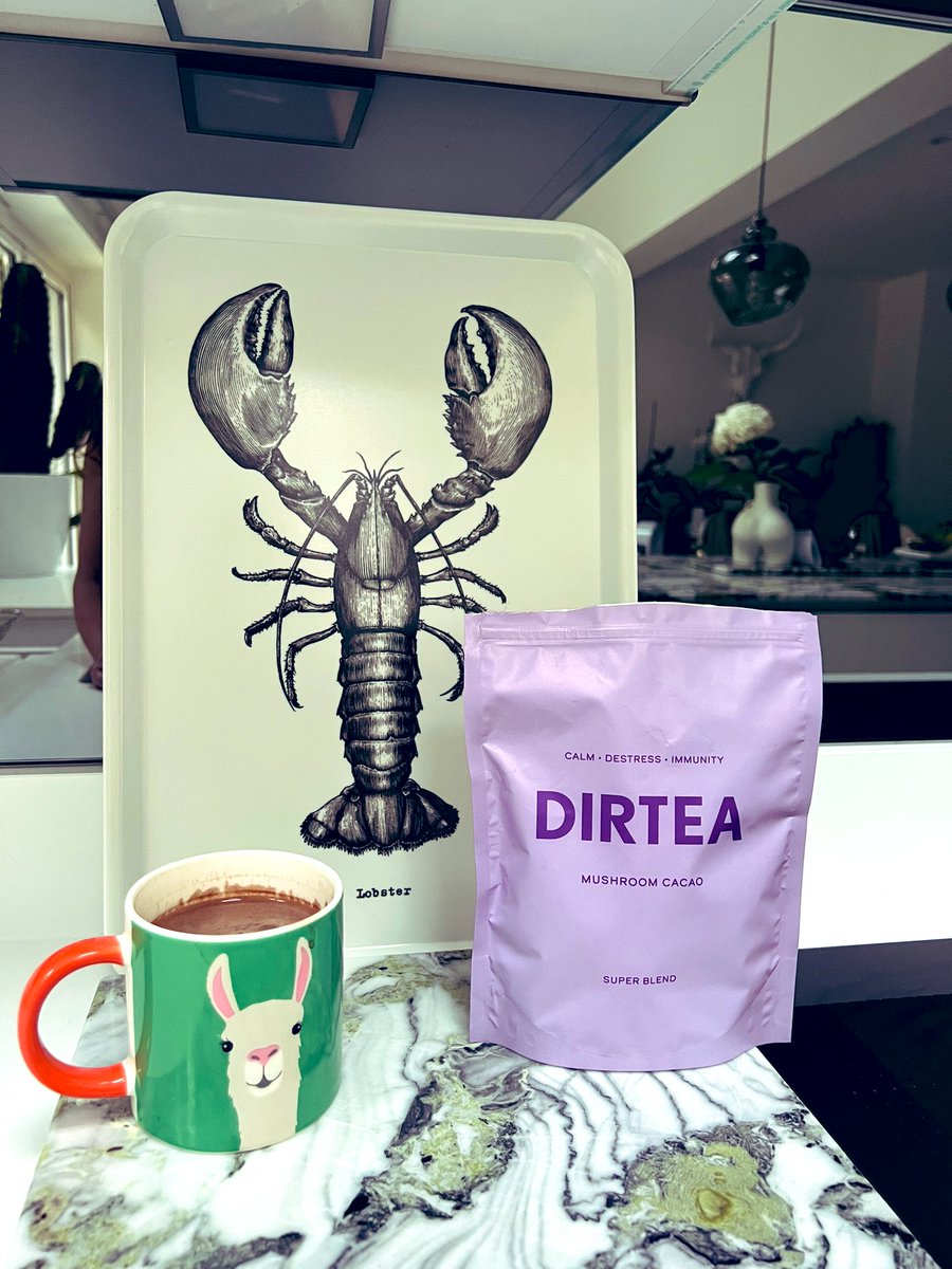 Llamas, lobsters and @dirteaworld cocoa hot chocolate before bed 🍄🍫🧘🏻‍♀️