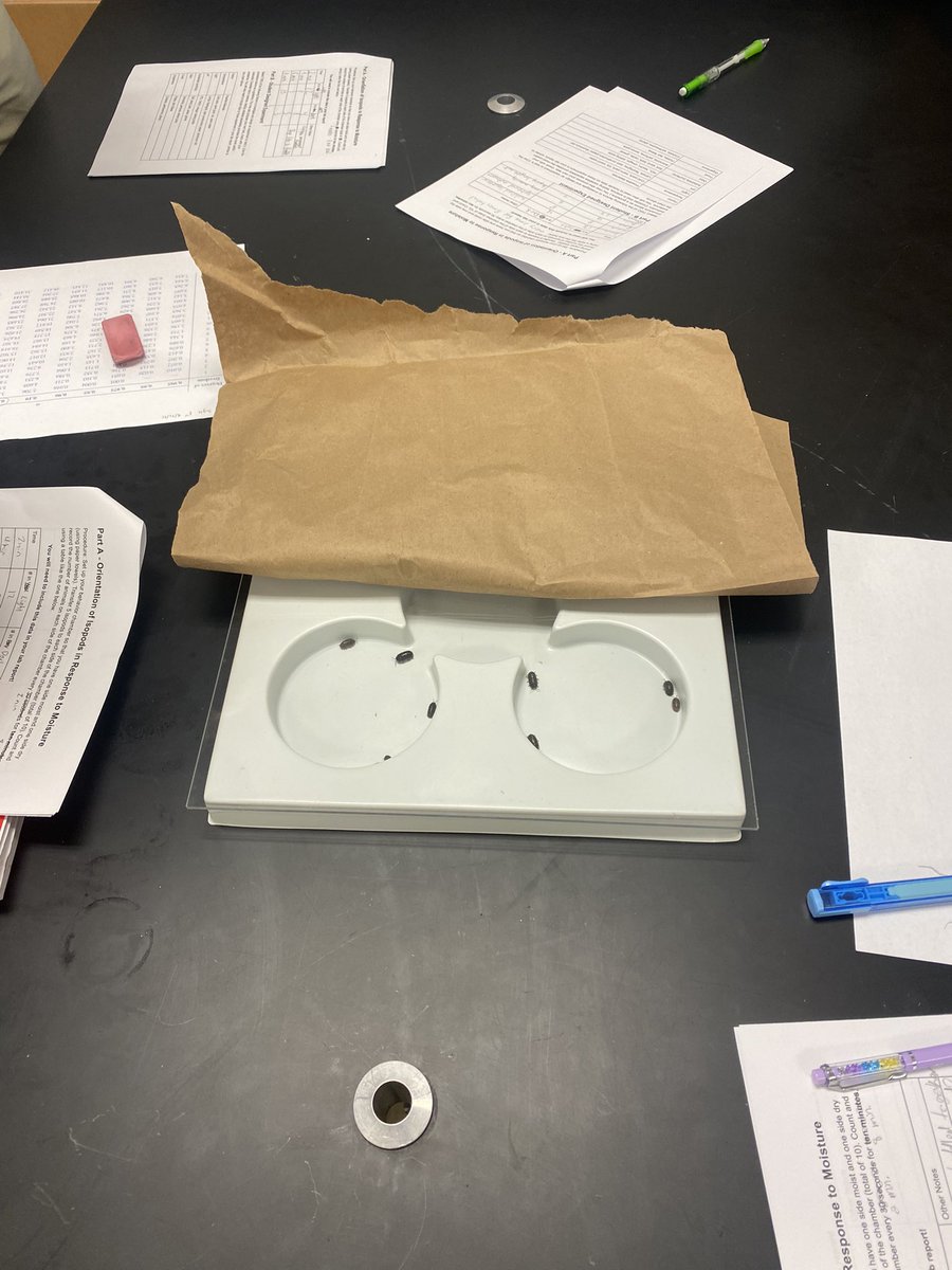 C_Tillman2's tweet photo. Moving from M&amp;Ms to to the much cooler Pill Bugs as we start our animal behavior and statistics unit in AP Biology. https://t.co/CkG6Bop2ph