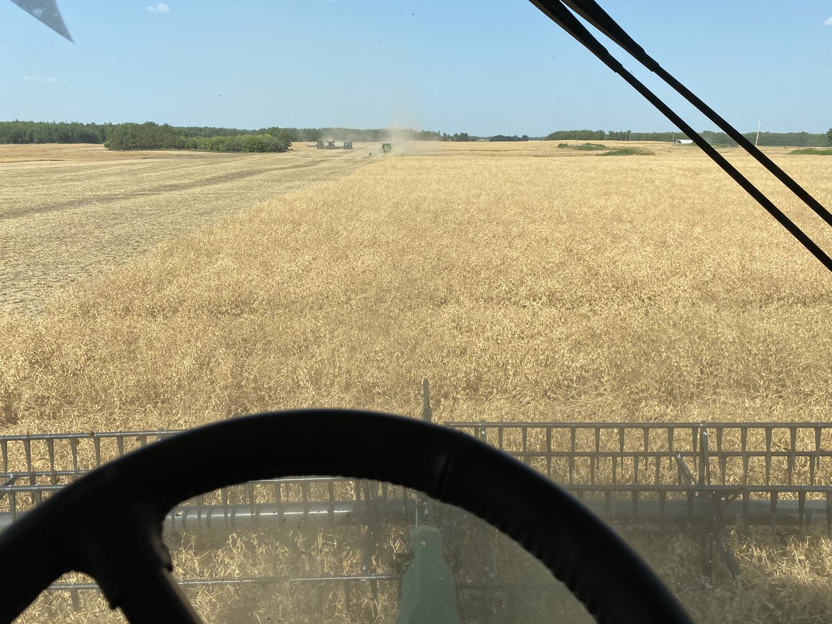 Day 2 of #harvest22 is underway. Sure is nice combining peas when they aren’t flat on the ground