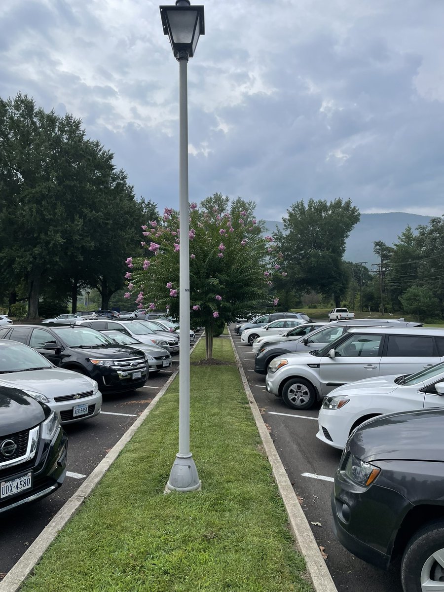 mgccprez's tweet photo. Great to see the parking lot filled and flowers in bloom for this first week of classes at @mgccva -   #FirstWeekofClasses https://t.co/d1EaXoddWM