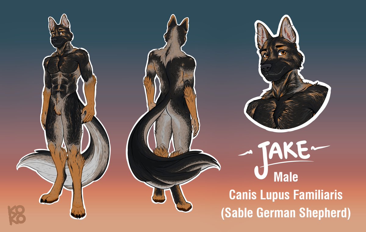 shankokos's tweet photo. Reference sheet of Jake!

For Der_Wikinger45 in Furaffinity.

#commissionsopen #furry #furryart #furryartist #furrydrawing  #furryartwork #art #furryfandom https://t.co/bgKRKigz9s