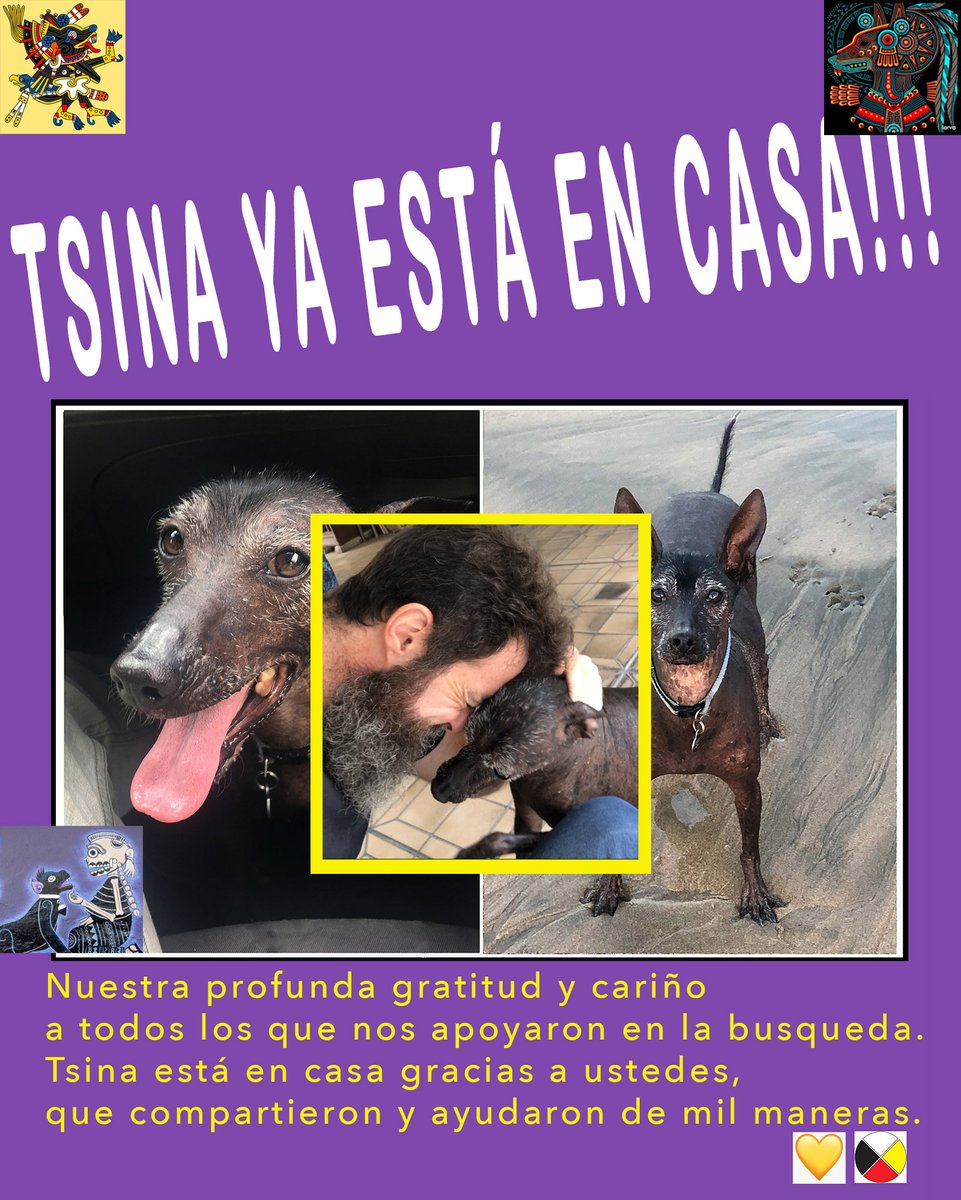 Ilan Rabchinskey tweet media