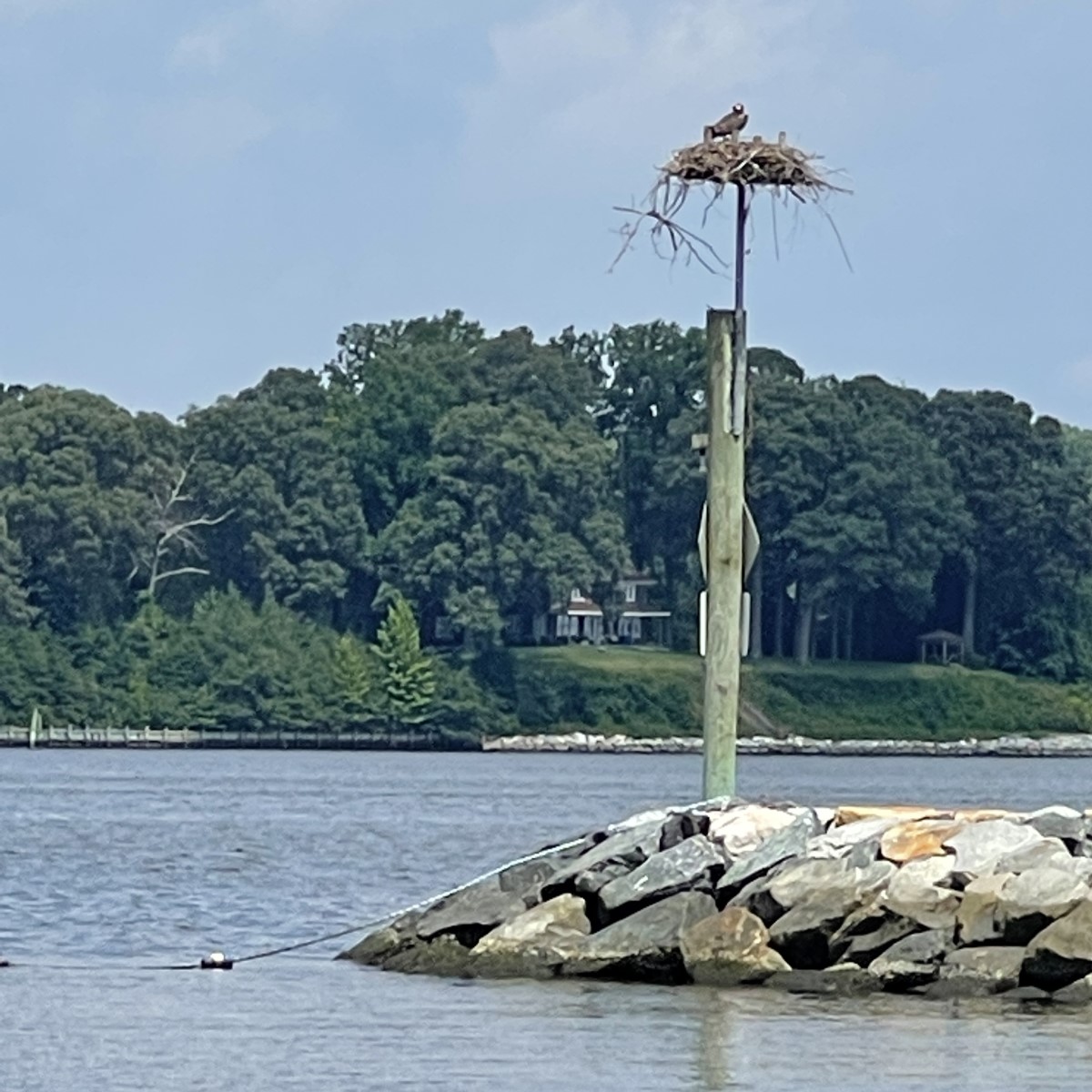 AAHealth_Water's tweet photo. Latest Recreational #WaterQuality Report for #AnneArundel County #HealthyBeaches. #ChesapeakeBay, #MagothyRiver, #PatapscoRiver, Rhode River, #SevernRiver, South River, West River, Stoney Creek, Weems Creek. https://t.co/QUJH4LWdDC https://t.co/UGY3MDa9ZT
