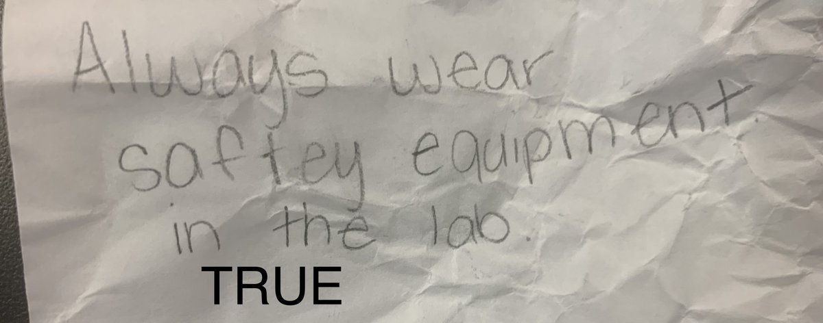 ldiazrodriguez1's tweet photo. Tell me something true about safety.  Tell me something false about safety.  Students exchanged true and false statements about safety.  They loved this activity.  😀  #pairshare #throwyourpaperintheair  #collaborate https://t.co/qPHcjftcsM
