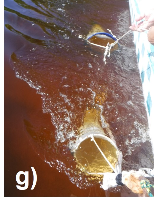 CinvesProdPrim's tweet photo. #Celestún es uno de los #OCR de #LANRESC. Es una #lagunacostera rodeada de manglares, con un gradiente salino de tipo estuarino, además cuenta con una extensa zona marina. Estuvimos muestreando la calidad del agua. Lee la nota completa: https://t.co/dyCtMe4cox https://t.co/ZslcXJQqga