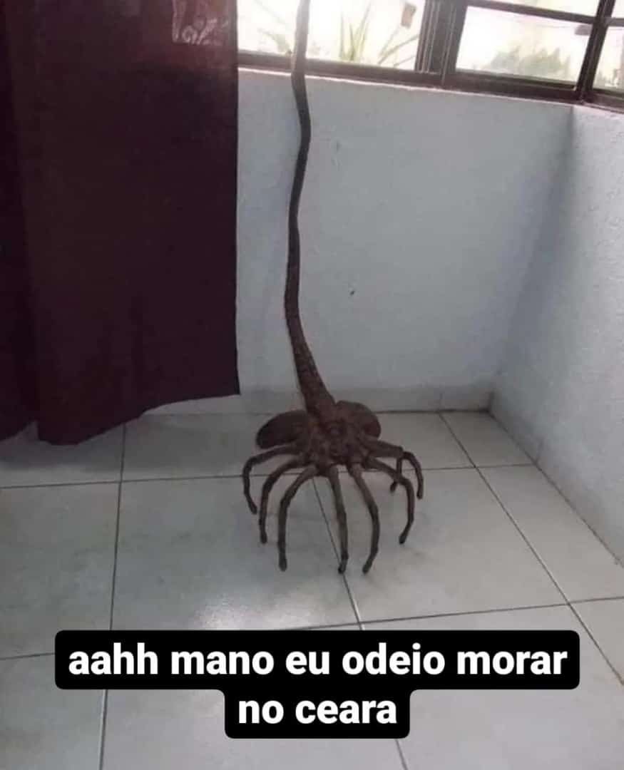 miguel (@miguelks_) on Twitter photo 