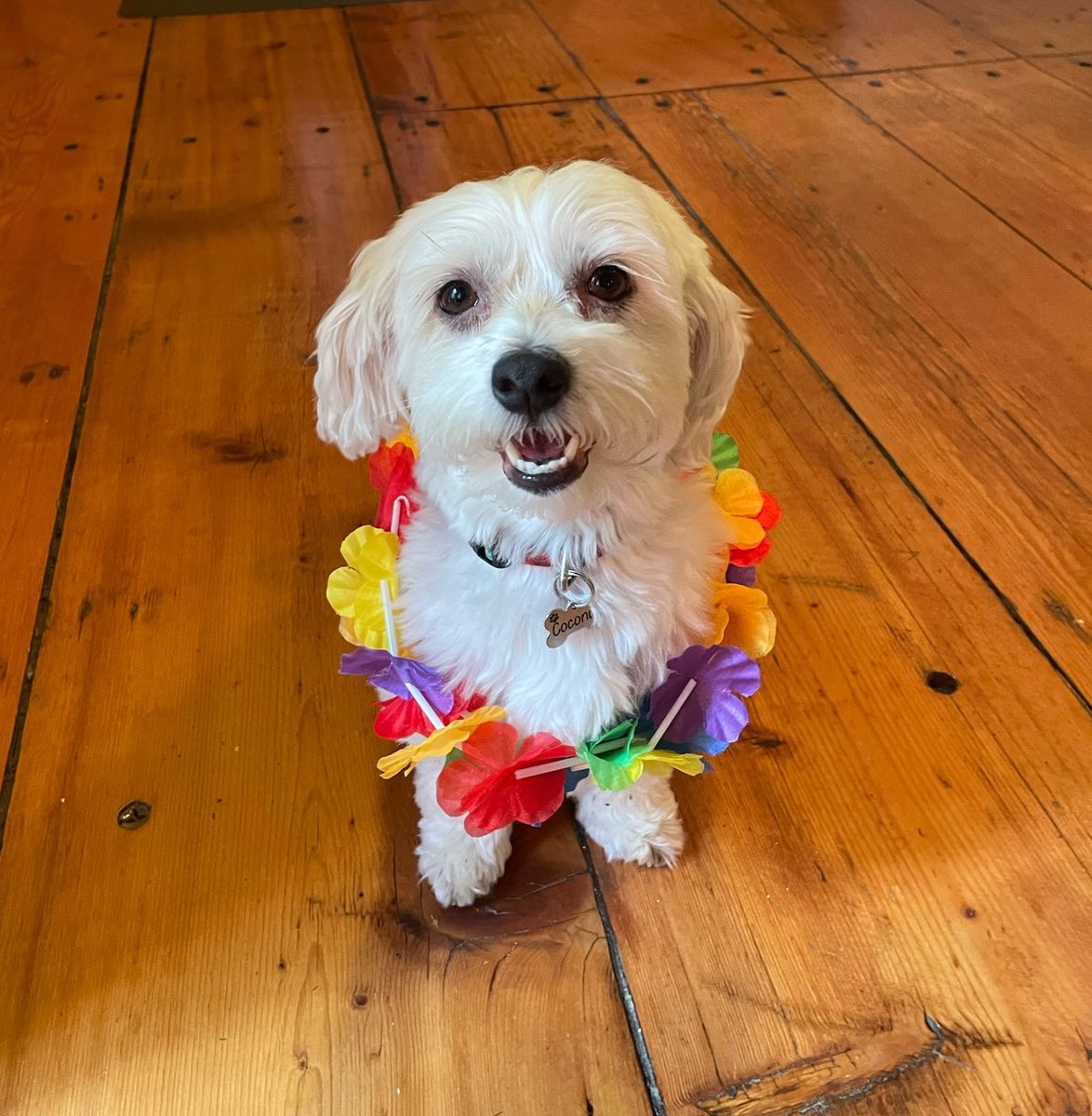 Stephanie Paravan tweet media