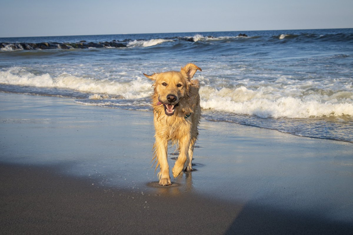 ruch tweet media