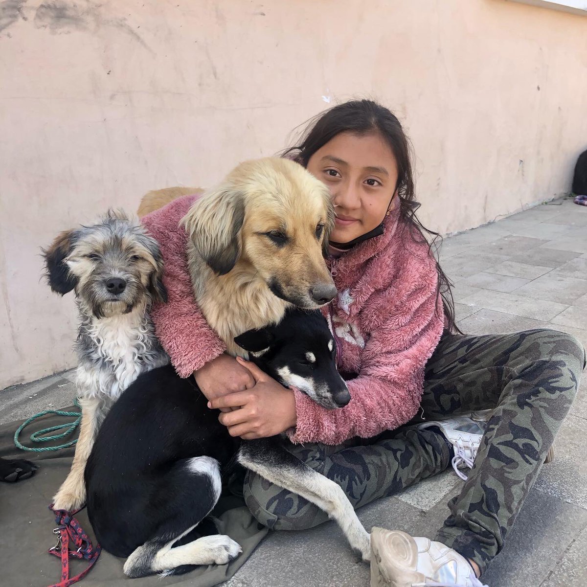 RioCapitalAnima's tweet photo. ✅ 53 esterilizaciones n #Quimiag, 53 vidas cambiadas eso es lo q nos alienta a seguir🐕🐈
Nos alegra saber q en conjunto con los funcionarios del GAD de #Riobamba estamos combatiendo d raíz el maltrato animal. Gracias a todas las personas voluntarias q apoyan esta gran campaña https://t.co/UjUrkylAoj