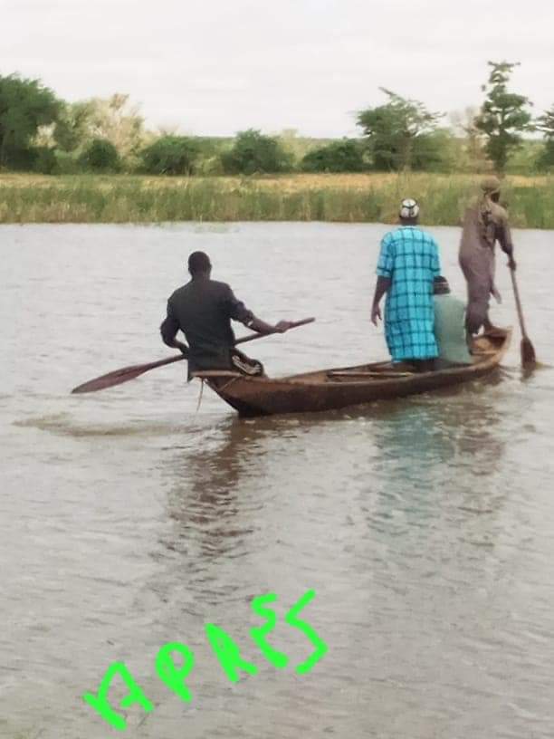 YacReki's tweet photo. Travaux "Cash for Work" #faucardage sur les sites de Sona à Kourtheye, Deyberi à Tillabery, Diambala et Namarogoungou à Sakoira, Golbé à Sandiré et Tokoye à Say. Les jeunes qui y travaillent sont des promoteurs d'AGR qui reçoivent l'Accompagnement Entrepreneurial de #2MINVEST. https://t.co/6k4xIlzSWP