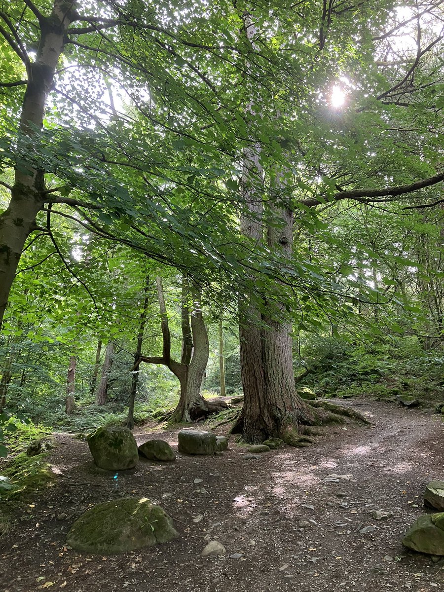 eBibliognost's tweet photo. A swim @CalvertLakes followed by a walk on #Dodd and #onemantwoguvnors @tbtlake; great day.
@lakedistrictnpa #nationalpark @KeswickTourism #rubytheredcockapoo https://t.co/9nNaQonIzW