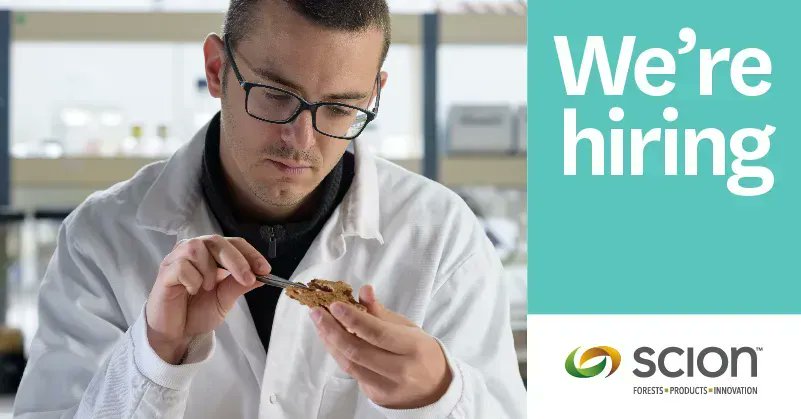 Scion has an exciting opportunity for an experienced Molecular Forest Pathologist. In this Rotorua-based role, you'll develop and lead innovative pathology research that supports NZ's planted and indigenous forests. Applications close 10 September. lnkd.in/gSJHvgAF #JoinUs