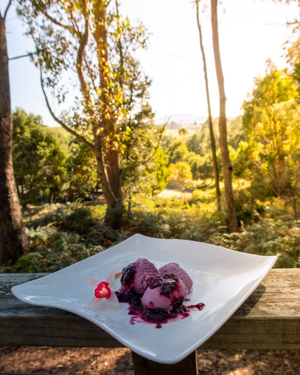 TinDTC's tweet photo. Do you love blueberries? Do you love icecream and gelato? Do you prefer eatubg plant foods?  Then this vegan blueberry gelato recipe made from cashews will delight you!

https://t.co/4wKfCfjLwD https://t.co/3Hwl5N58ER