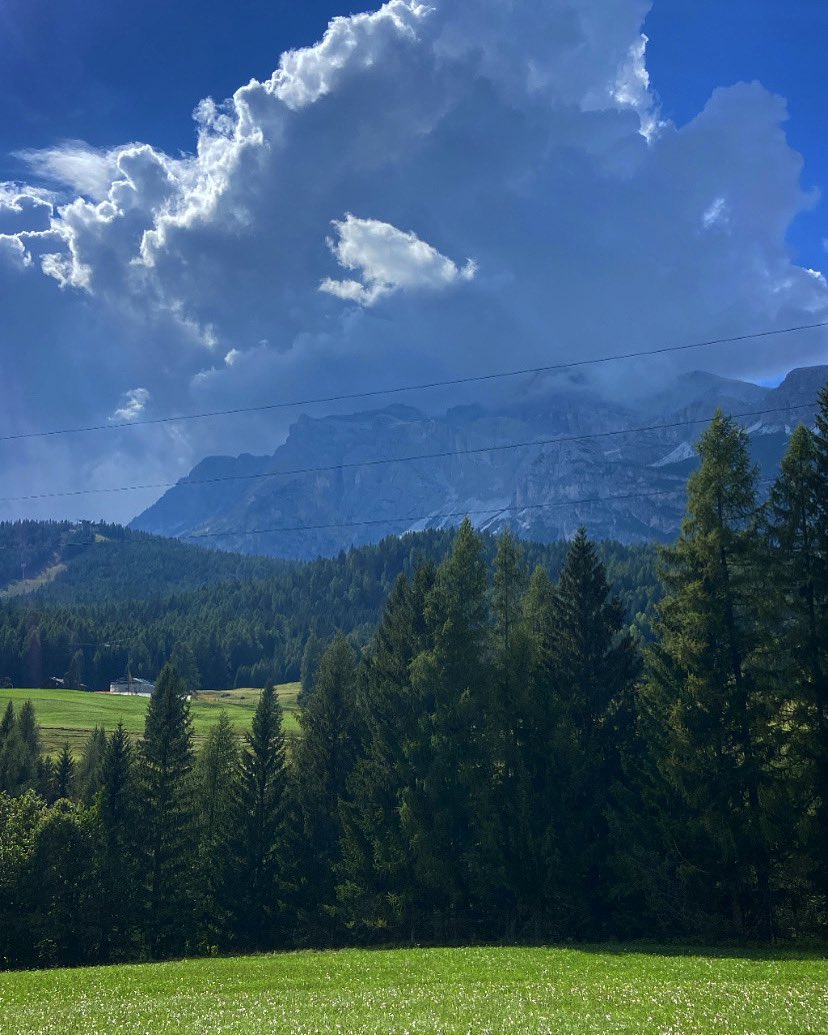 morellato13's tweet photo. #home #bentrovata mila #braccotedesco @dolomiti_it @veneto_ https://t.co/ZLzeOiEIbc