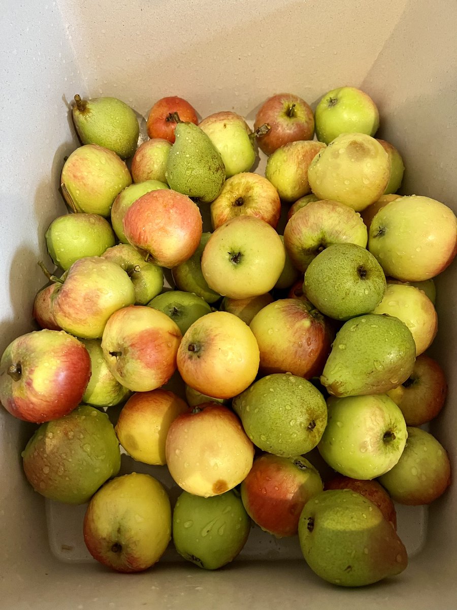 Babar Elahi tweet media