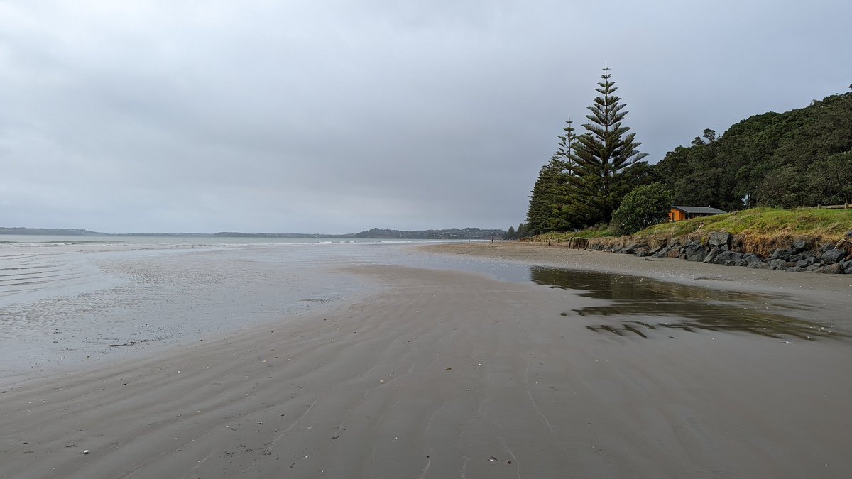 Getting out of the house when working fully remotely is good for my mental health