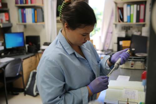 Mizzou Honors College tweet media