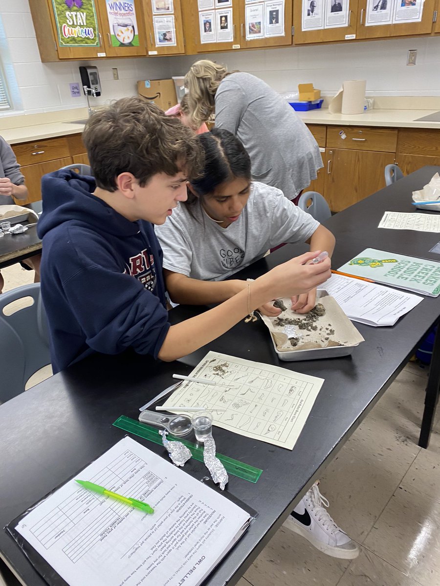 MrsWest_DCMS's tweet photo. Studying populations in ecosystems with real life food webs. https://t.co/ptSHrnwvfp
