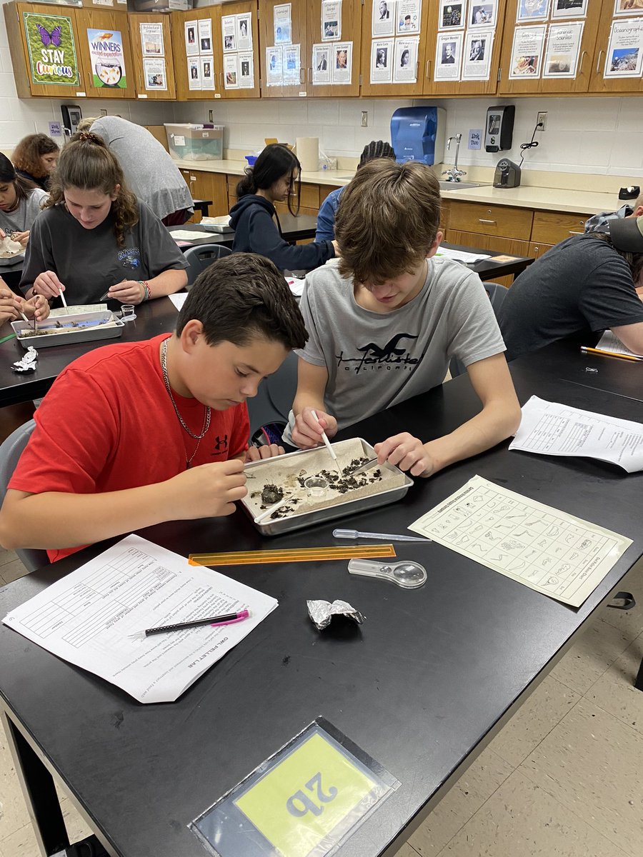 MrsWest_DCMS's tweet photo. Studying populations in ecosystems with real life food webs. https://t.co/ptSHrnwvfp