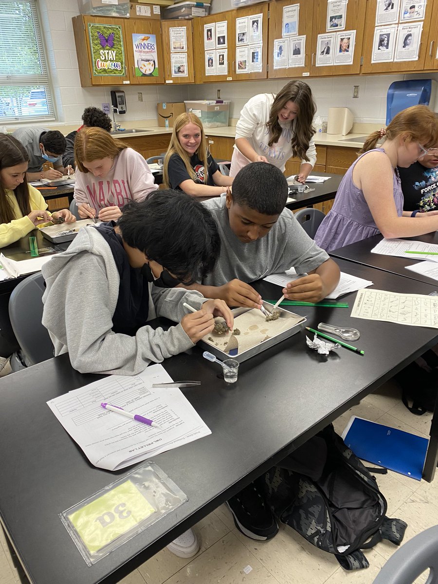 MrsWest_DCMS's tweet photo. Studying populations in ecosystems with real life food webs. https://t.co/ptSHrnwvfp