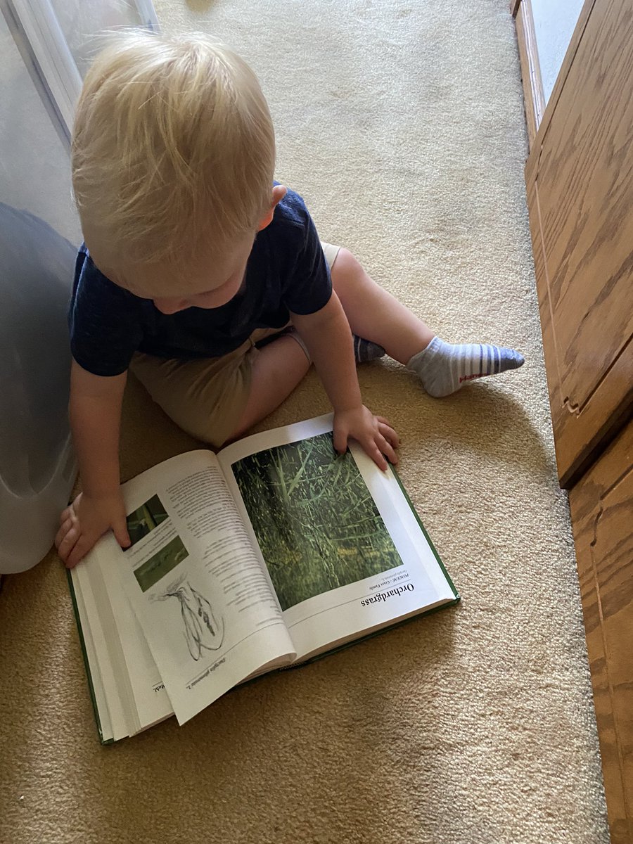 Tim “Clownshow Farms” Braun tweet media