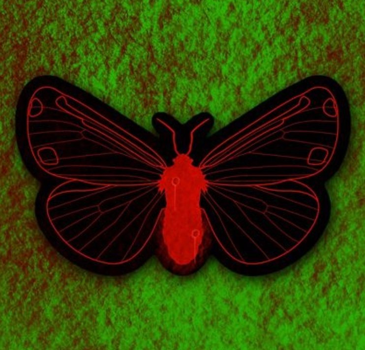 ChitinNature's tweet photo. 👑 SOLD SOLD SOLD 👑
@thelegionsnfts thank you sooo much!
So greatful! So much appreciation!
#NotHisFirst
#ChitinNature #Butterflies #Moths
#NFT #NFTs #NFTSale #NFTSales
#NFTdrops #CryptoCom #CurateUs
#NFTTrend #NFTWin #Thanks https://t.co/rwDbEGdY2j