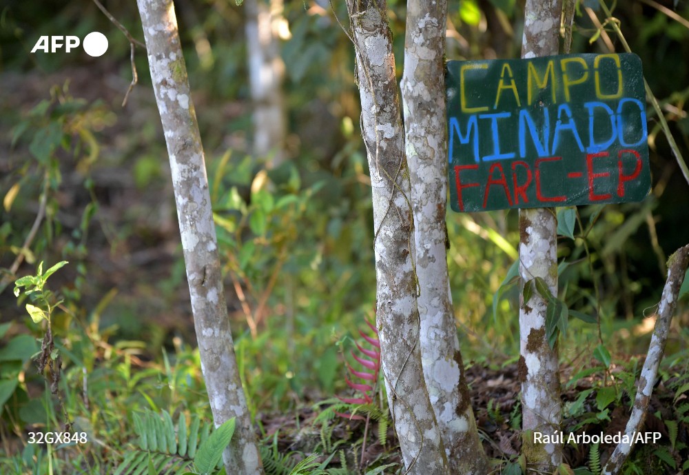 AFPespanol's tweet photo. 🇨🇴 El gobierno de Colombia anunció este jueves que suspenderá los bombardeos militares sobre campamentos guerrilleros donde puedan haber menores reclutados a la fuerza #AFP https://t.co/WLgplZRfgC