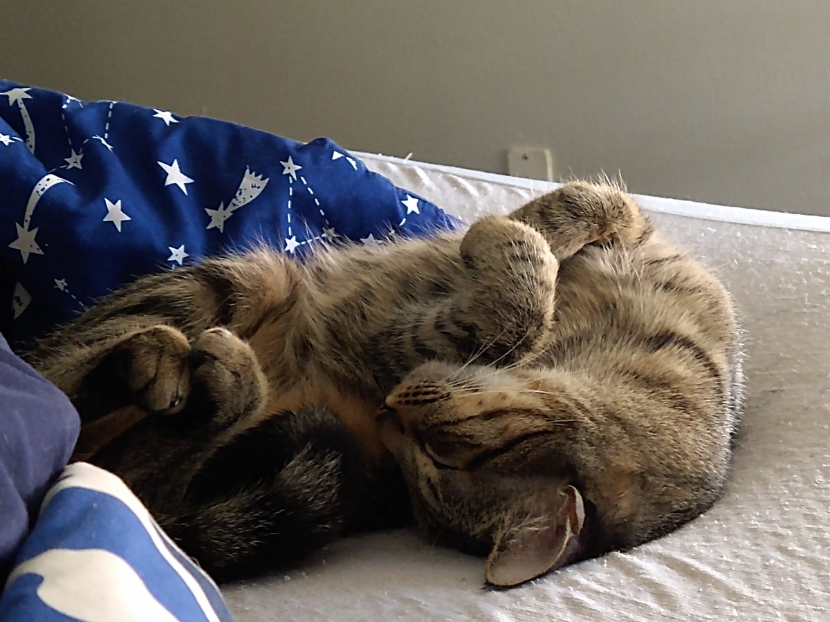 BytBakery's tweet photo. Happy #pursday! https://t.co/GJtxdCTzG9