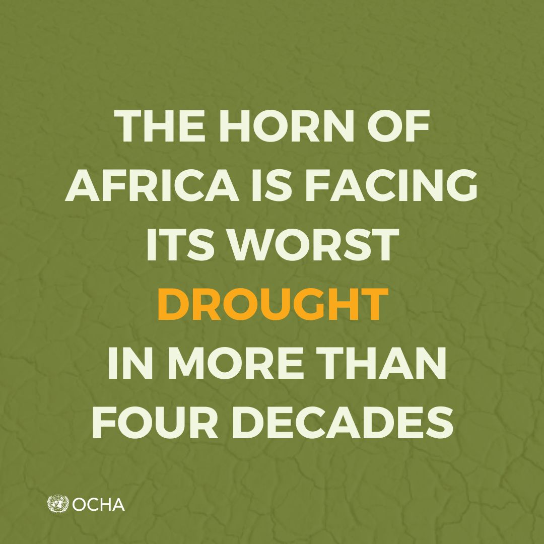 JoyceMsuya's tweet photo. Nearly 4.6 million children in #Ethiopia, #Kenya and #Somalia are threatened by severe malnutrition following four consecutive failed rainy seasons. 

If we act now, we can save lives. 

https://t.co/PtZuq69Ncd https://t.co/Gj28lEAkze