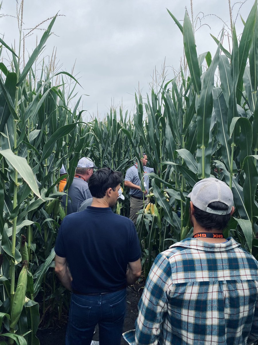 Julia Kamman tweet media