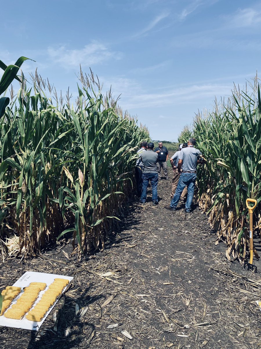 Julia Kamman tweet media