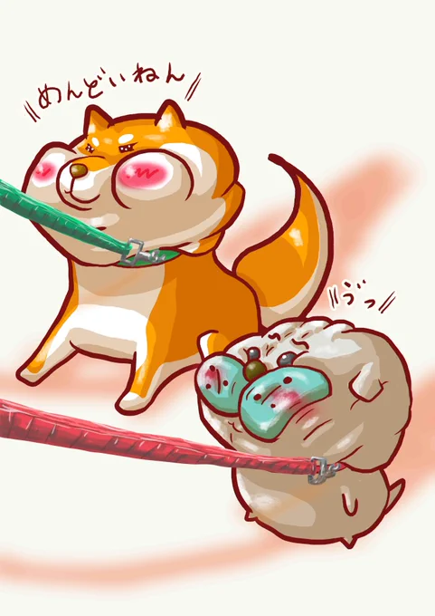 おはようございます散歩拒否な犬丸と柴犬。。。今日8月26日は米国で制定されたNationalDogDay(世界犬の日?)だそうですがんばれ犬丸#イラスト #絵描きさんと繋がりたい #世界犬の日 #がんばれ犬の日 