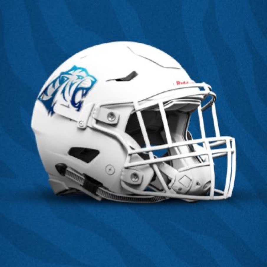 alw1775's tweet photo. We might be Vikings now but we still Bleed Blue! GO TIGERS!!! Kick DSU’s a$$ tonight!!!! https://t.co/7IZxiLlKks